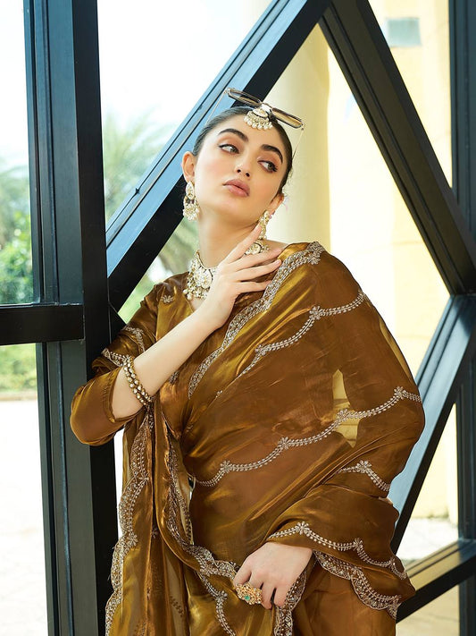 Rust Color Jimmi Chu Silk Sequence Embroidered Work Saree